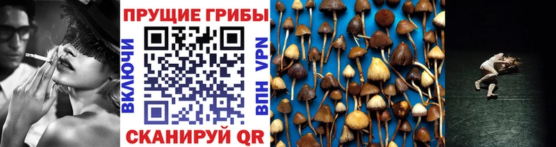 hydra рабочий сайт  Усть-Джегута  Галлюциногенные грибы ЛСД 