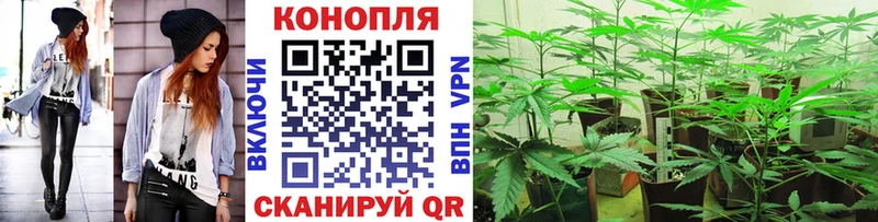 Конопля конопля  Усть-Джегута 
